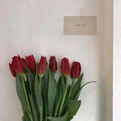 最后她对我说破解版下载